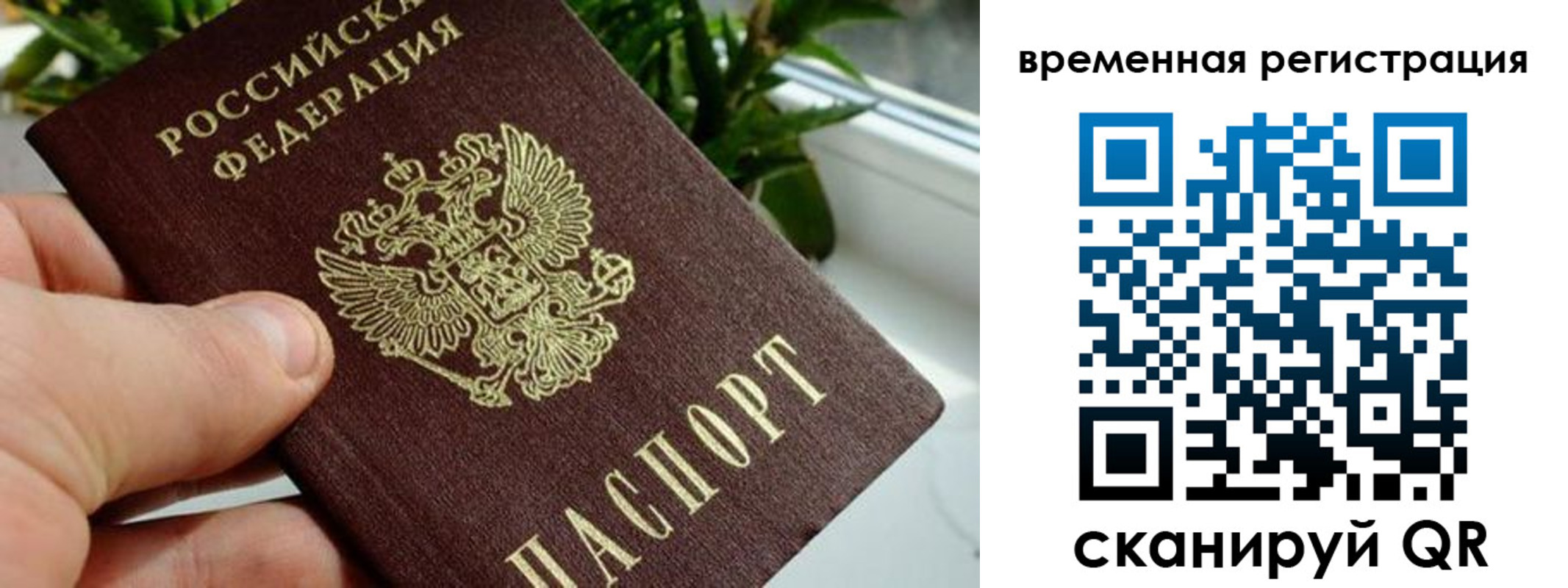 прописка поиск в Пласте